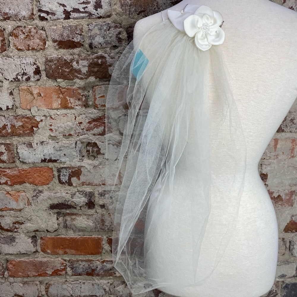Bridal birdcage with flower accent